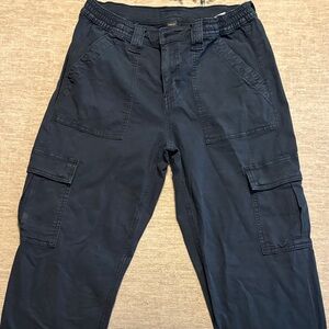 American Eagle Outfitters Dark Blue Cargo Pants